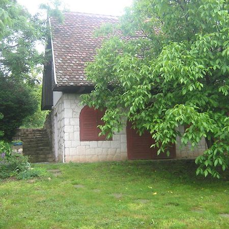 Myrtus Pince Es Vendeghaz Ξενοδοχείο Tarcal Εξωτερικό φωτογραφία