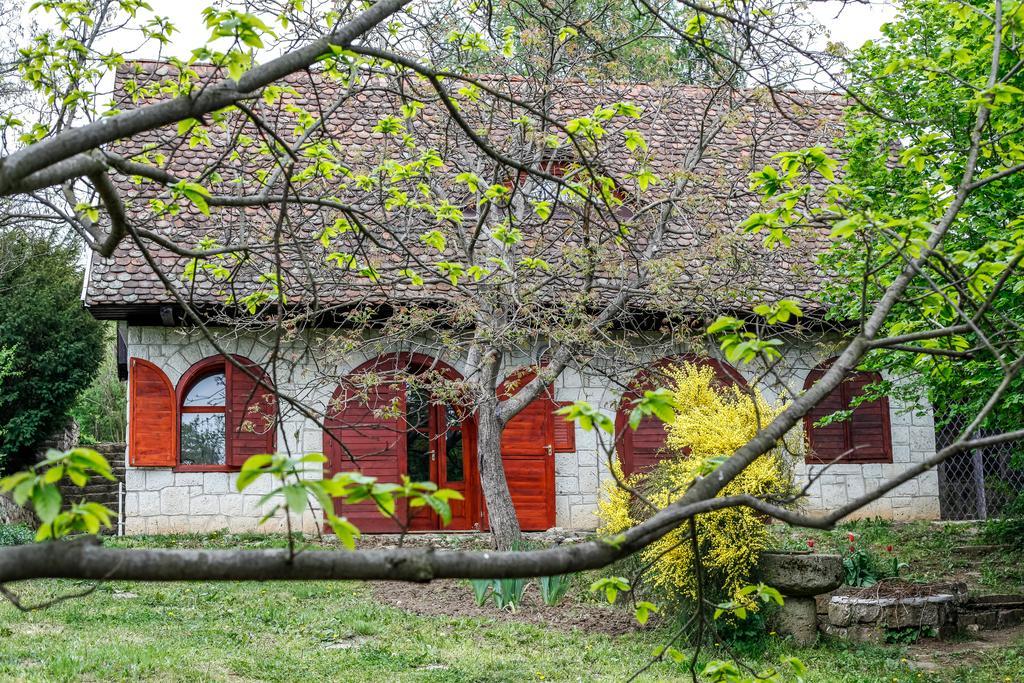 Myrtus Pince Es Vendeghaz Ξενοδοχείο Tarcal Δωμάτιο φωτογραφία