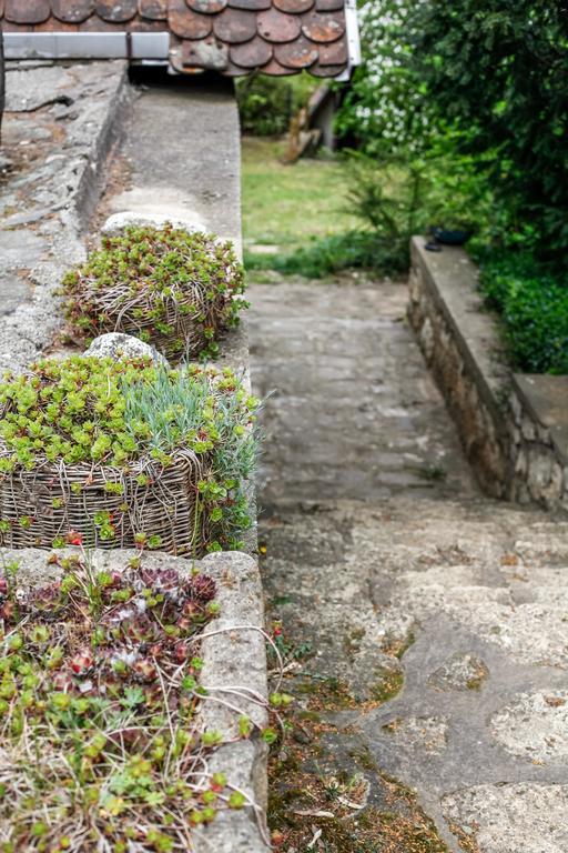 Myrtus Pince Es Vendeghaz Ξενοδοχείο Tarcal Εξωτερικό φωτογραφία