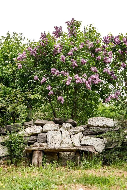 Myrtus Pince Es Vendeghaz Ξενοδοχείο Tarcal Δωμάτιο φωτογραφία